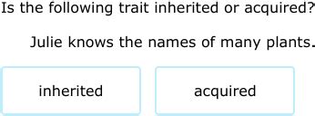 Ixl Identify Inherited And Acquired Traits 3rd Grade Inheritance And Traits 3rd Grade - Inheritance And Traits 3rd Grade