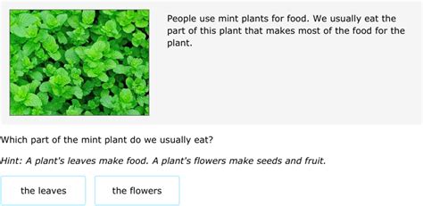 Ixl Identify Plant Parts And Their Functions 5th 5th Grade Parts Of A Plant - 5th Grade Parts Of A Plant