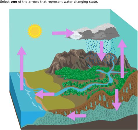 Ixl Select Parts Of Water Cycle Diagrams 5th Water Cycle 5th Grade Science - Water Cycle 5th Grade Science
