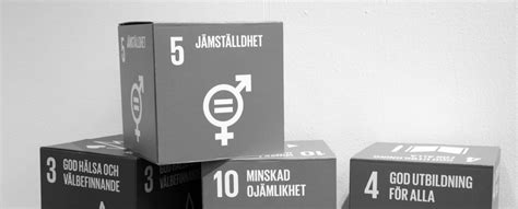 jämställdhet material