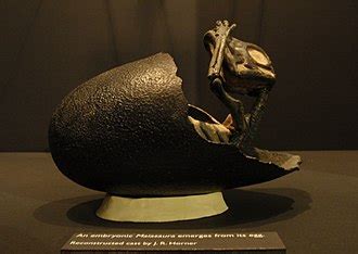 jack horner paleontologist baby dinosaur egg