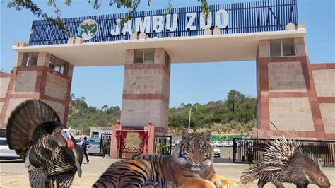 Jambu Zoo Jambi Zoo - Jambi Zoo
