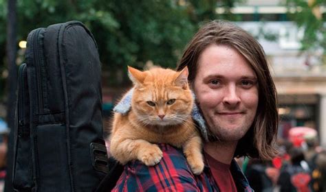 james bowen author biography