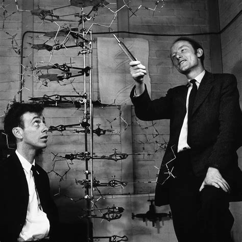 james watson and francis crick contribution