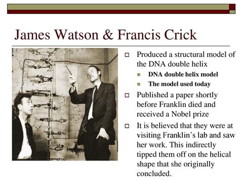 james watson and francis crick final model