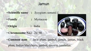 Jamun Botanical Name