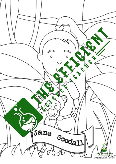 Jane Goodall Coloring Pages Teaching Resources Tpt Jane Goodall Coloring Page - Jane Goodall Coloring Page