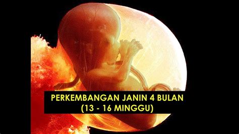 JANIN 4 BULAN - Doa Ketika Usia Kandungan Memasuki Umur 4 Bulan - Radar Madura