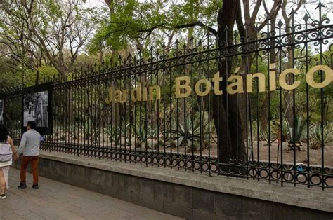 Jardin Botanico Chapultepec
