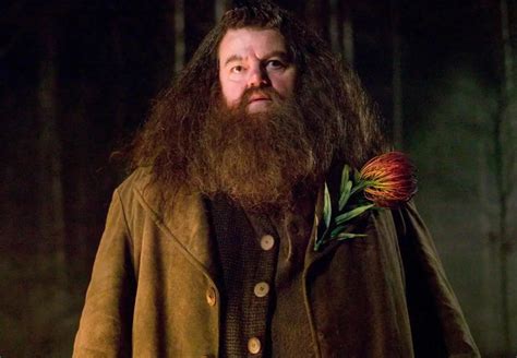 jargon hagrid