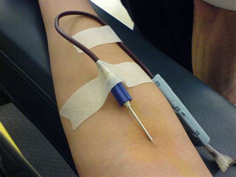 jarum donor darah