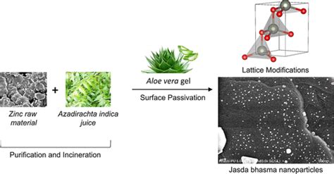 jasada | Jasada Terbaik PT TRI NOOSA JASADA Indotradingcom