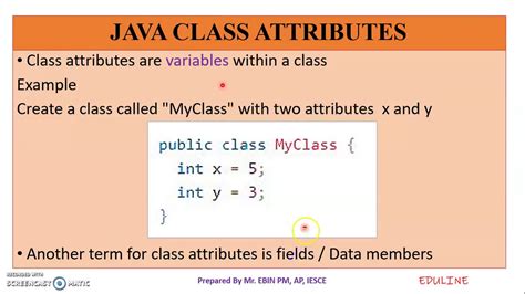 java attributes
