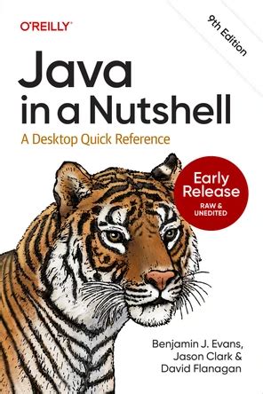 Java In A Nutshell Book
