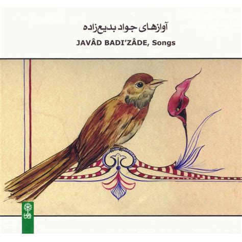 javad badizadeh biography