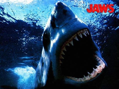 Jaws Fear The