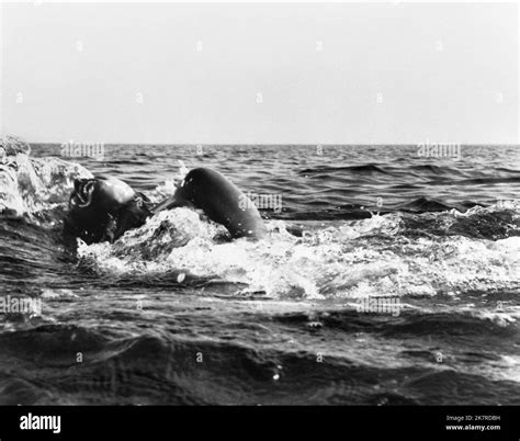jaws nude