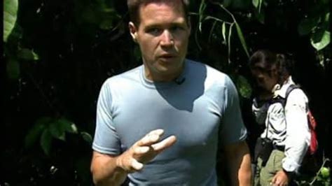 Jeff Corwin's Left Arm