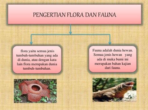 jelaskan pengertian flora dan fauna