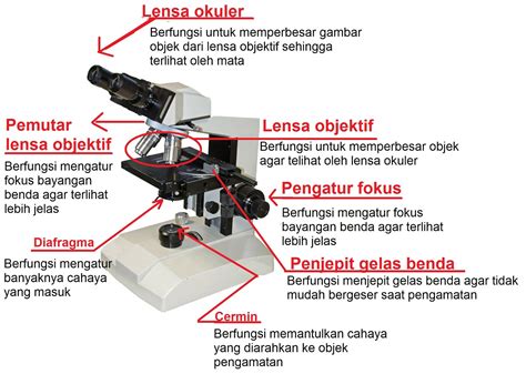 jelaskan perbedaan mikroskop dan teleskop