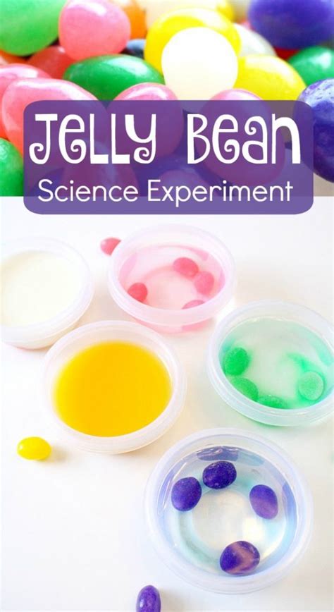 Jelly Bean Science Experiment Fantastic Fun Amp Learning Letter D Science Experiments - Letter D Science Experiments