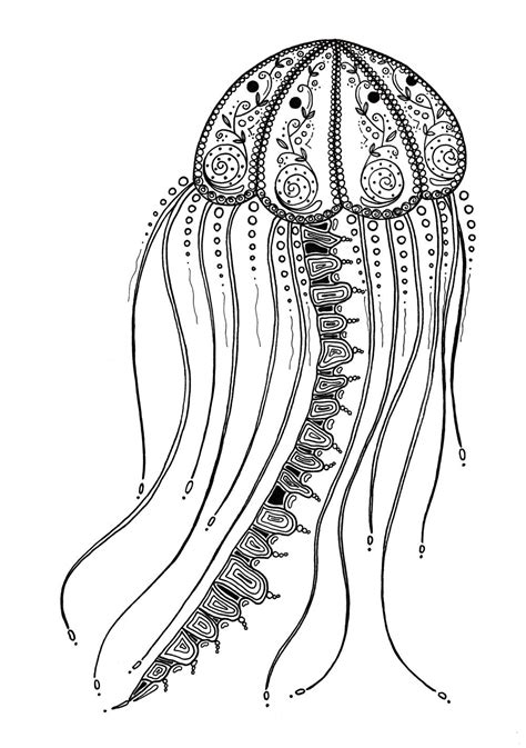 Jellyfish Coloring Pages Jelly Fish Coloring Sheet - Jelly Fish Coloring Sheet