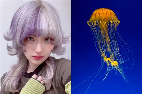 Jellyfish Cut - Jellyfish Cut