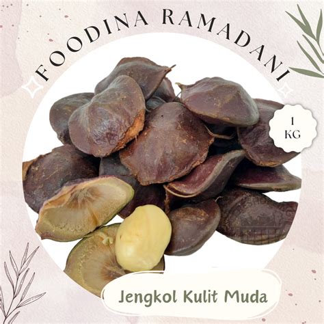 JENGKOL69 RECOMMENDED - Dapatkan keuntungan dengan angka-angka yang cerdas