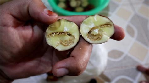 JENGKOL69 RESULT LOGIN MASUK & DAFTAR MENANG PASTI BAYAR !