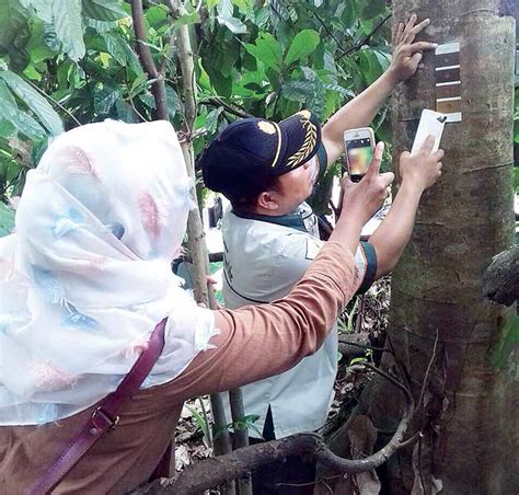 JENGKOL69 TOP : Bandar Togel Terbaik dan Terpercaya di Indonesia