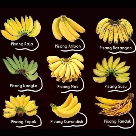 jenis jenis pisang