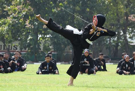 jenis pencak silat indonesia - Blogger