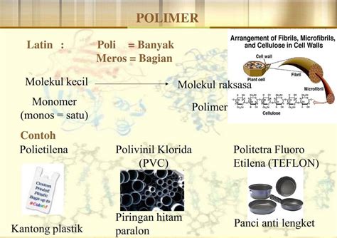 jenis polimer alam