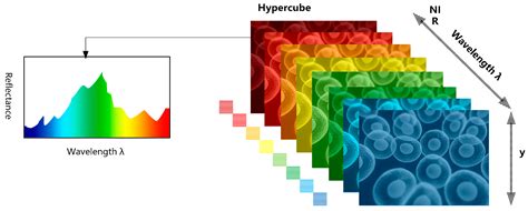 Full Download Jensen Hyperspectral Image Analysis Chapter 11 