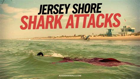 Jersey Shore Shark Attacks Of 1916