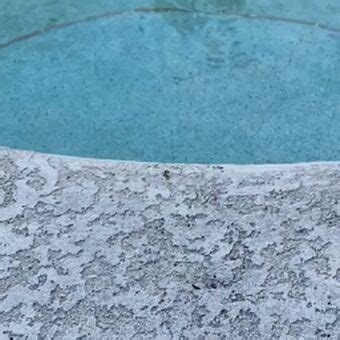 jessica barton leaked onlyfans