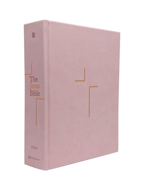 jesus bible niv