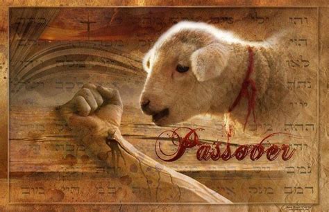Read Jesus The Passover Lamb 