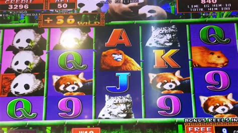 jeu casino panda youtube jyvr luxembourg