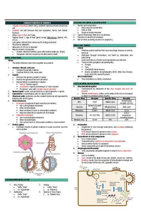 jimma university virology lecture notes