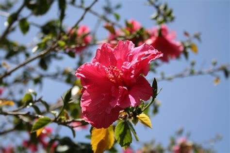 jmaddie04 OnlyFans leaked content