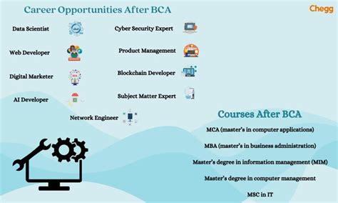 Job Scope After Bca