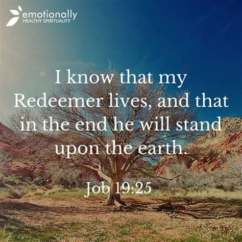 Job Scriptures In The Bible