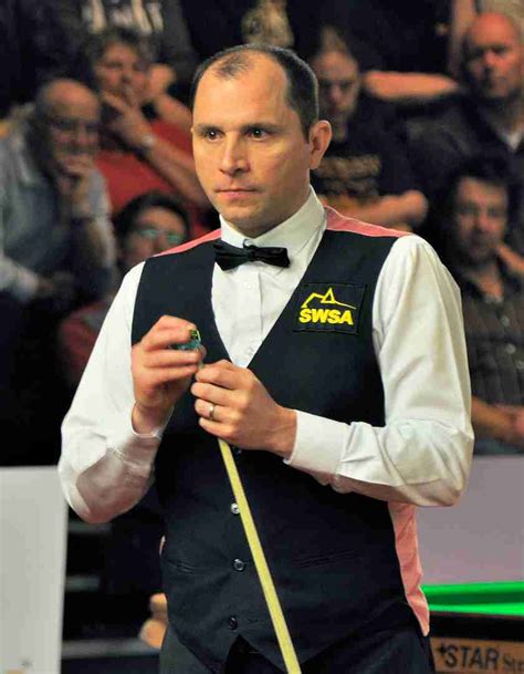 joe perry wiki snooker