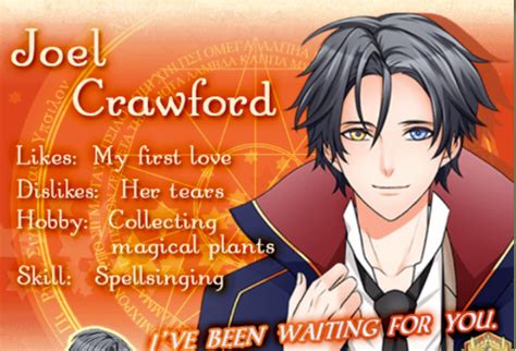 Joel Wizardess Heart Walkthrough