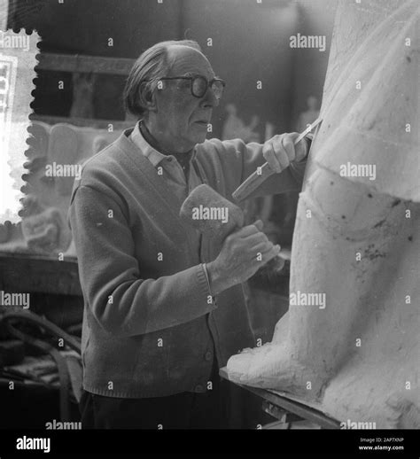 johan polet biografie