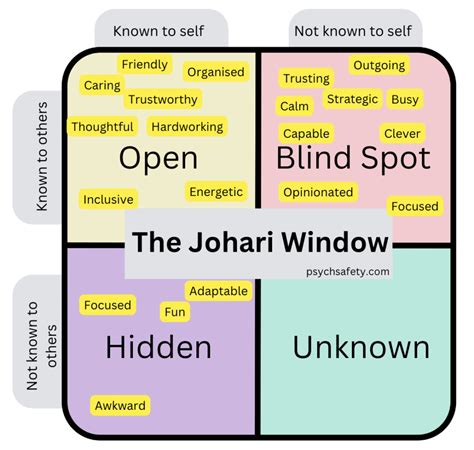 Johari Window Examples