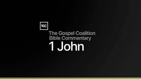 John 1 Commentary