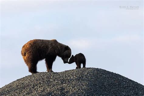 john e marriott biography