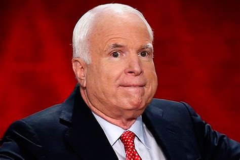 john mccain biography birther